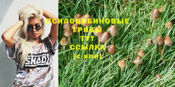 стафф Алзамай