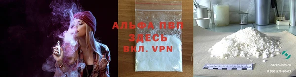 стафф Алзамай