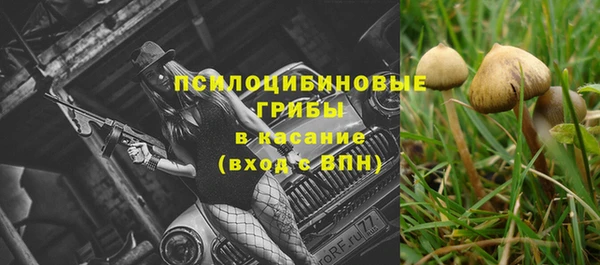 spice Алексин