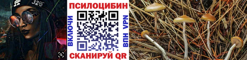 Псилоцибиновые грибы Psilocybe  OMG ССЫЛКА  Сим 